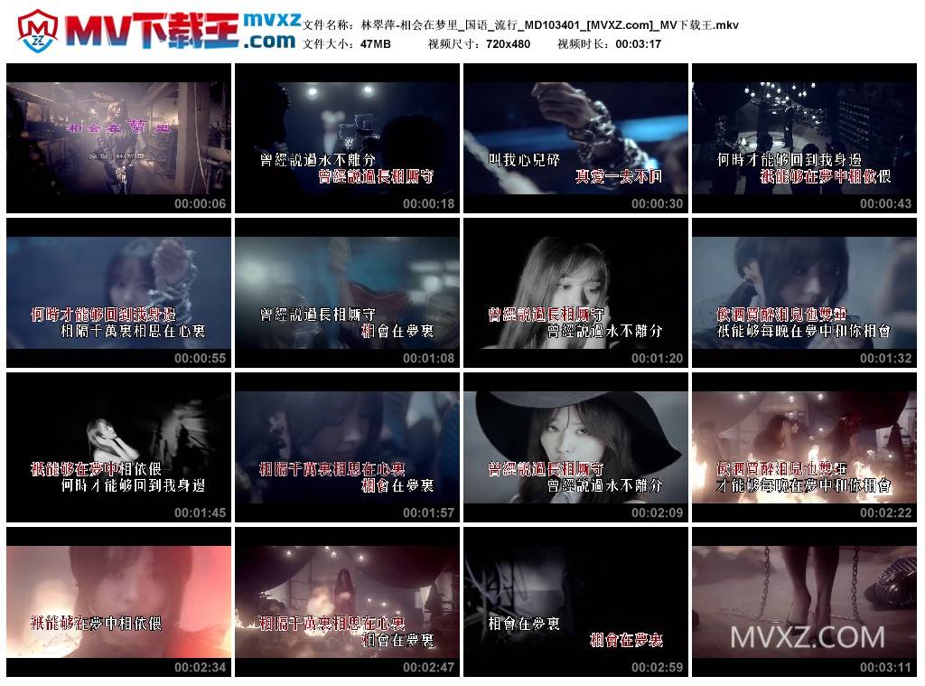 林翠萍-相会在梦里_国语_流行_MD103401